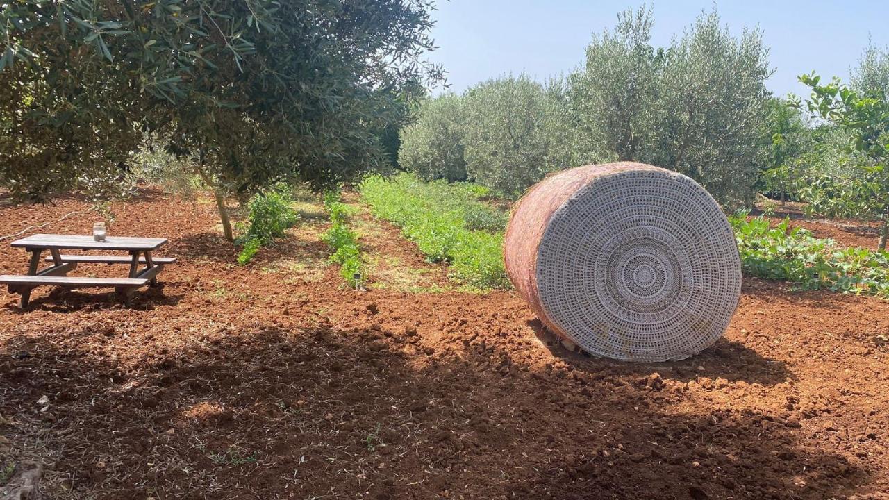 B&B Villa Mamma Grazia San Vito dei Normanni Εξωτερικό φωτογραφία